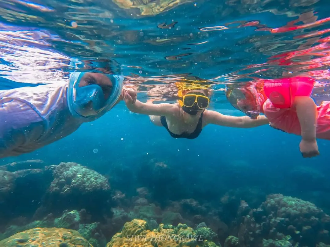 Best Boat Tour To Angthong National Marine Park