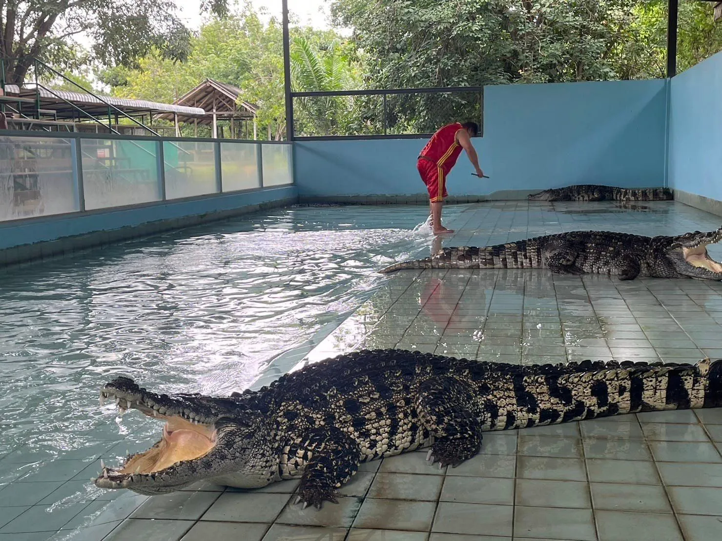 Elephant Park Pattaya