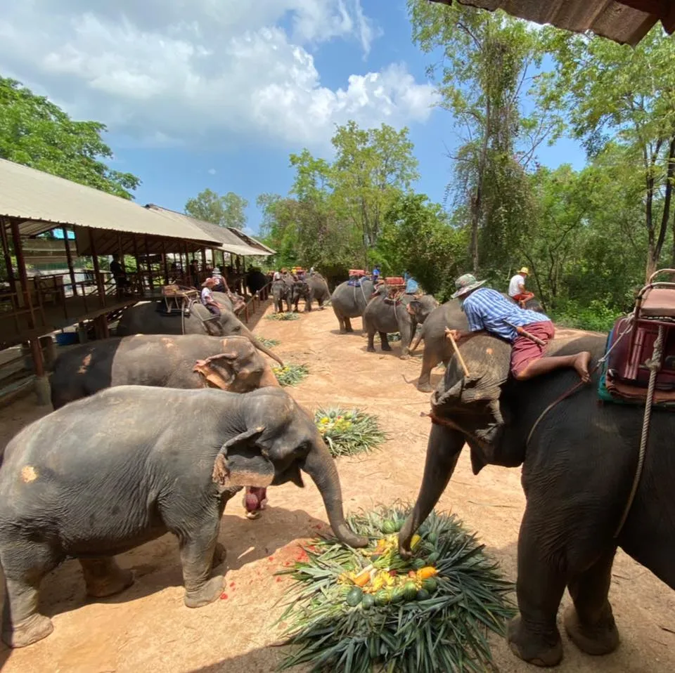 Chang Siam Krating Lai In Pattaya