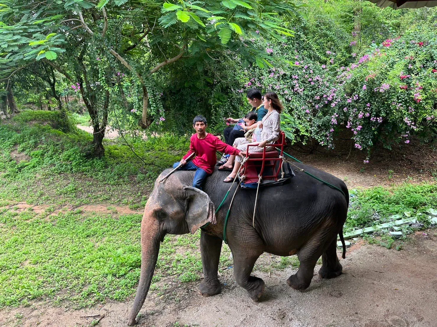 Elephant Riding Park Pattaya