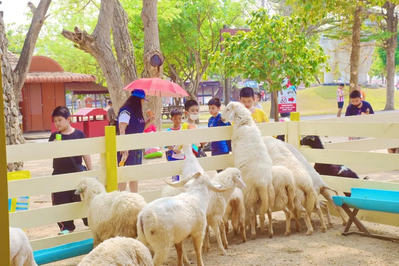 Sheep Farm Thailand