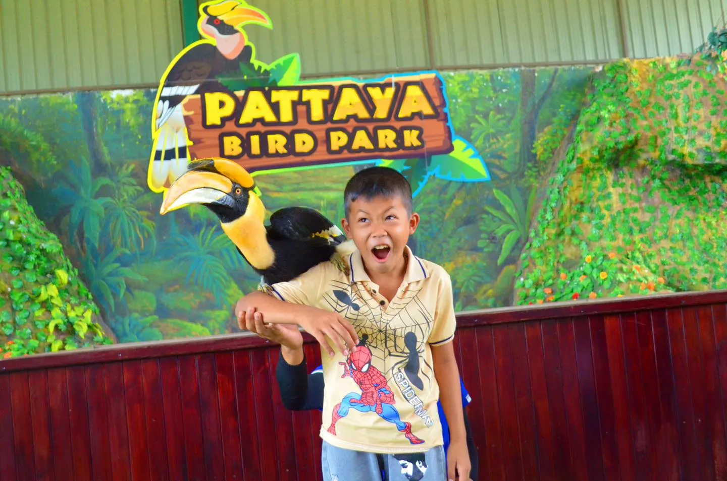 Sheep Park Pattaya