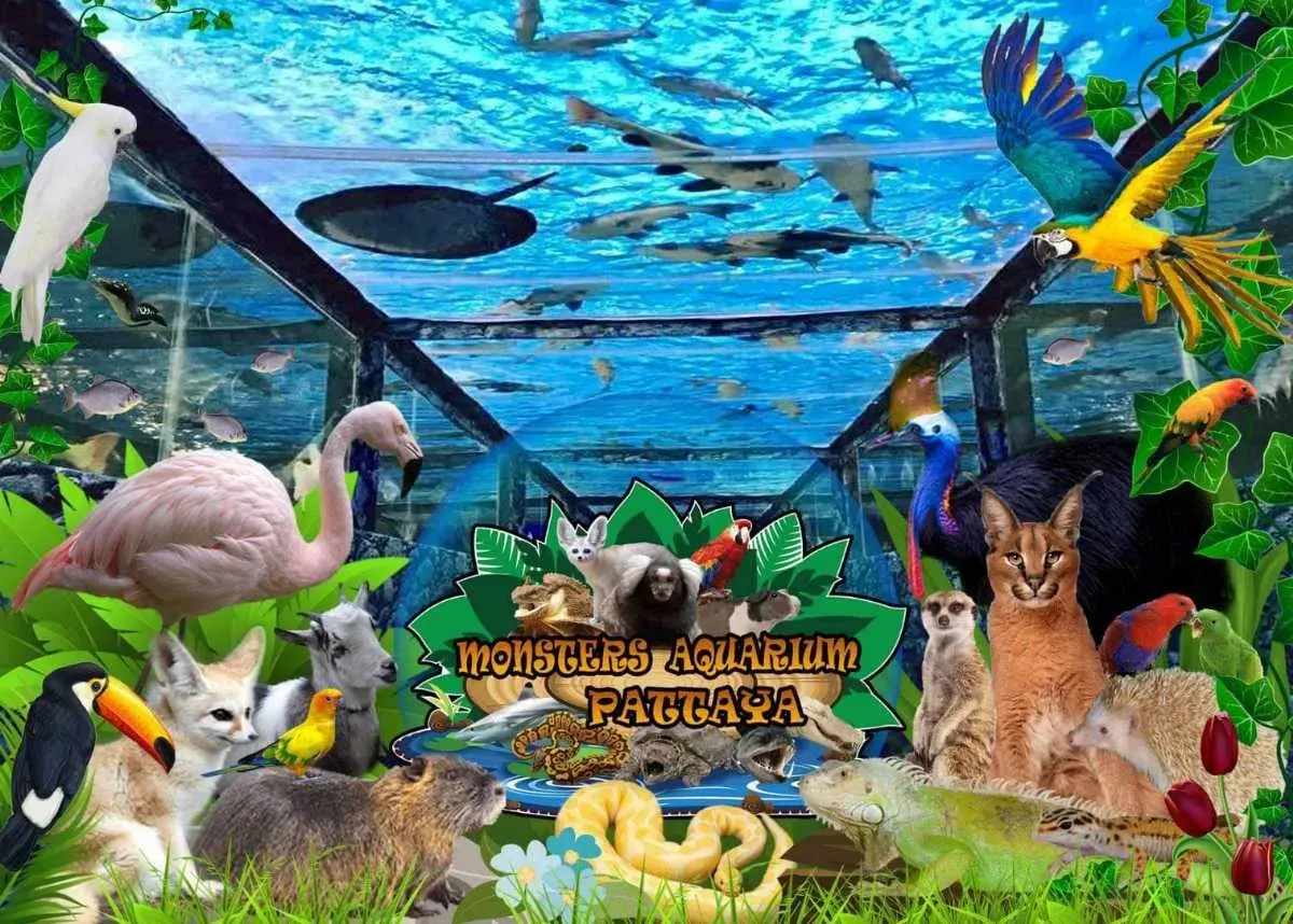 Monsters Aquarium Pattaya Ticket