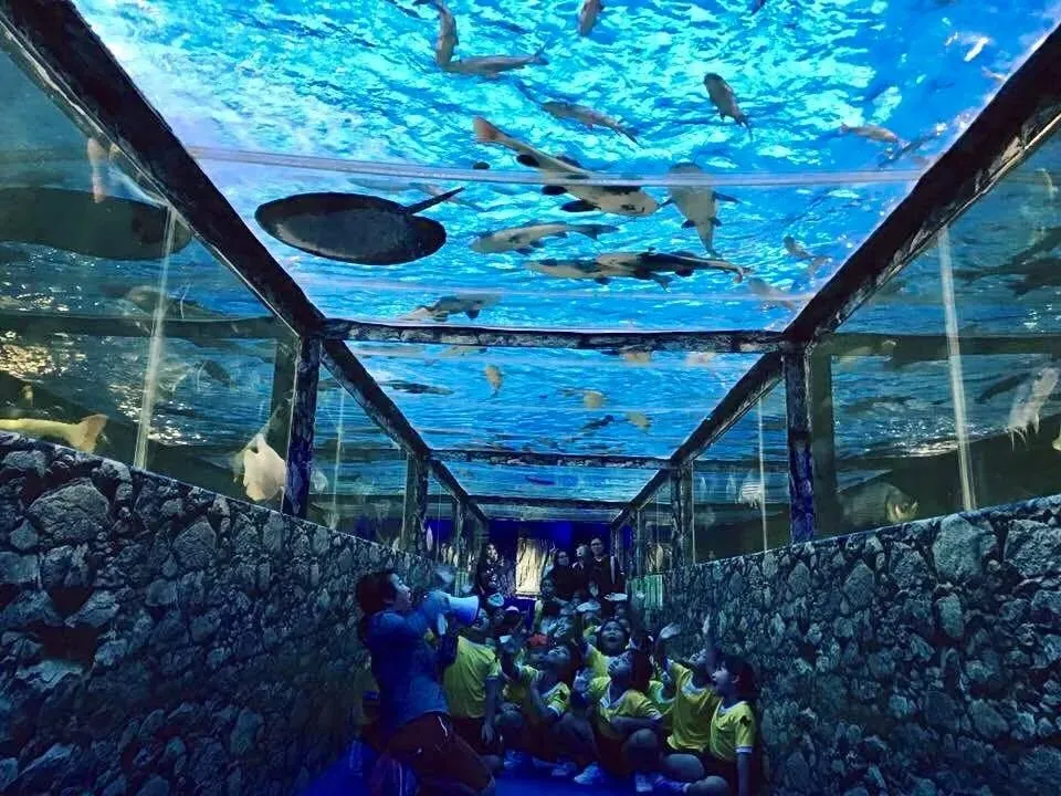 Pattaya Monsters Aquarium