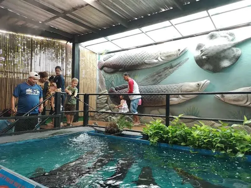 Monsters Aquarium In Pattaya