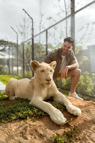 Lion Mini Zoo