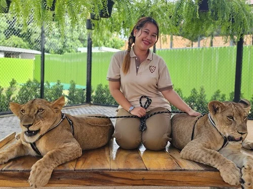 Tiger Park Phuket