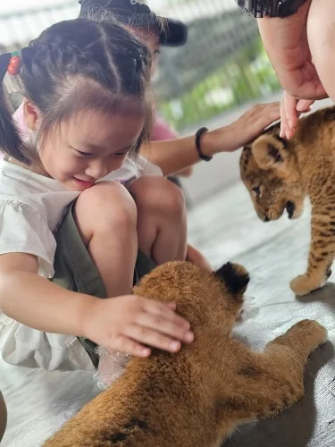 Wild Lion Land Park