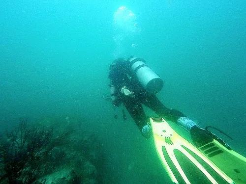 Fun Scuba Diving Thailand