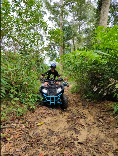 Buggy Adventure Koh Samui