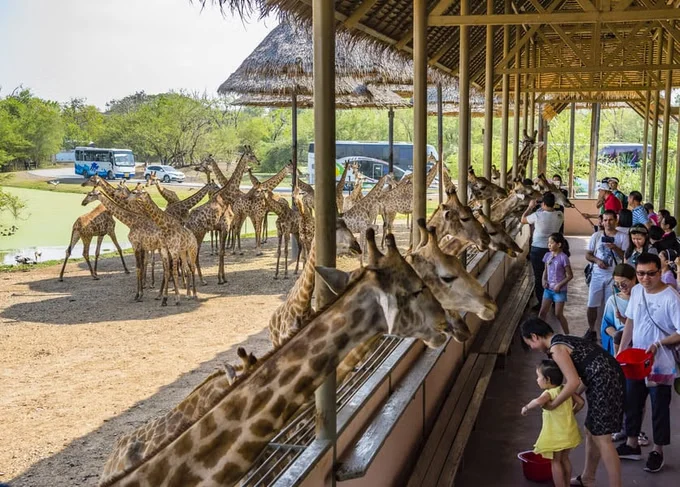 Know Everything About The Safari World In Bangkok