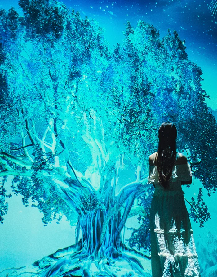 Future of art PADO Media Art Space Pattaya